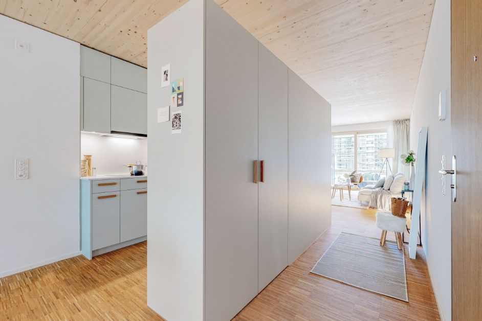 4.5-Zi-Whg-Zentrale-Pratteln-Eingang