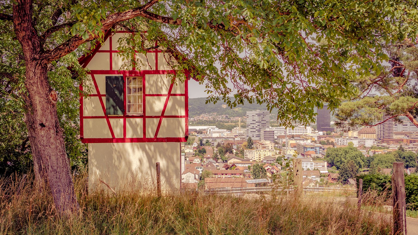 a34bf1cfe2d8bf722f197c3baead8dbdcd836aed