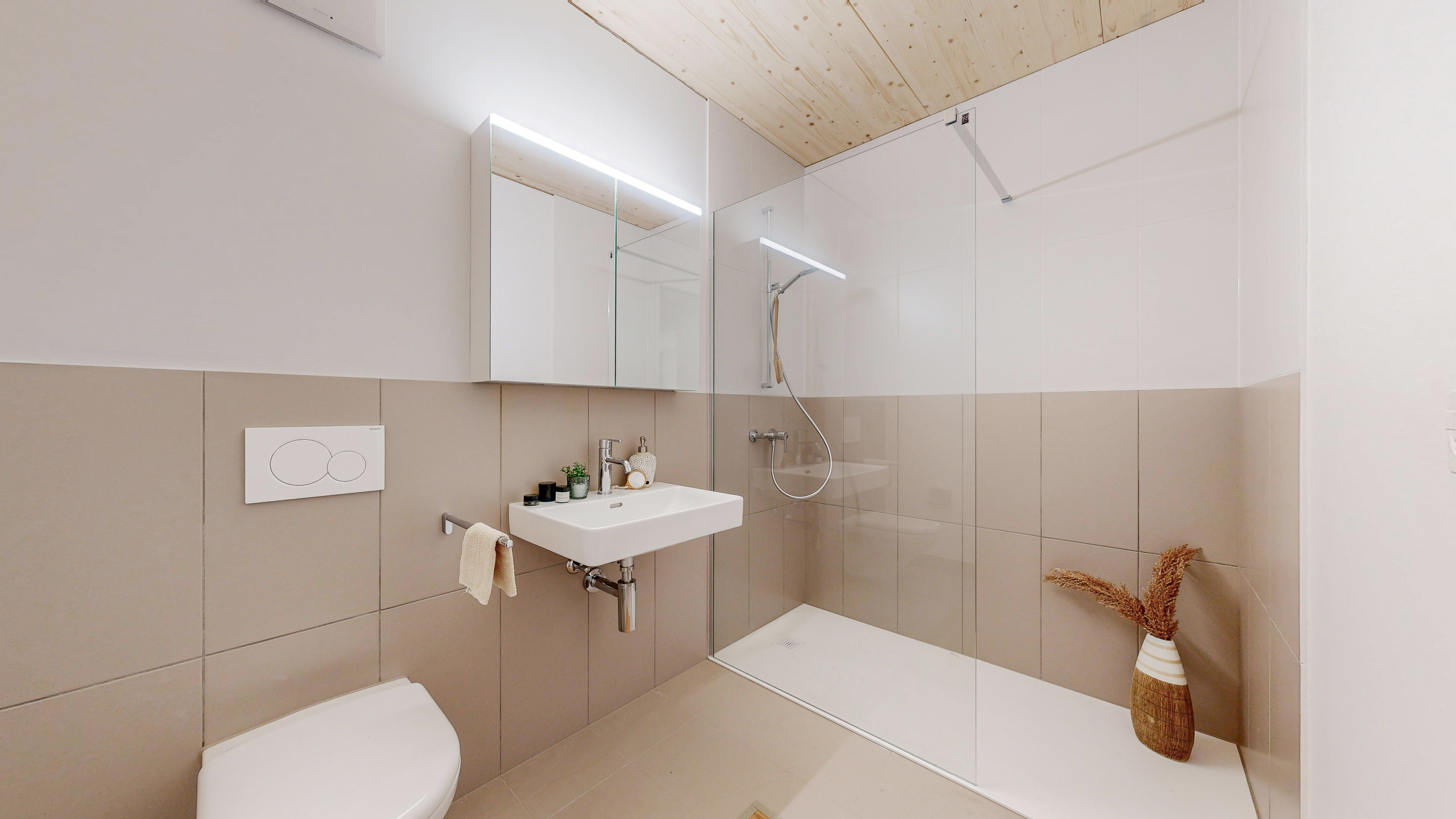 4.5-Zi-Whg-Zentrale-Pratteln-WCDU